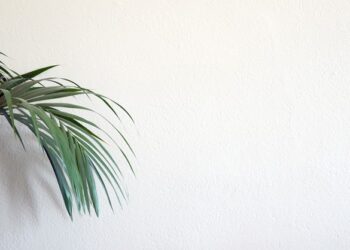 Revolutionizing the Web: How AI is Redefining Website Building