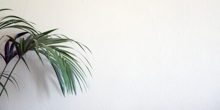 Revolutionizing the Web: How AI is Redefining Website Building