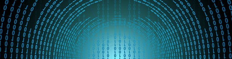 The Latest Trends in Domain and Hosting Services: What You Need to Know