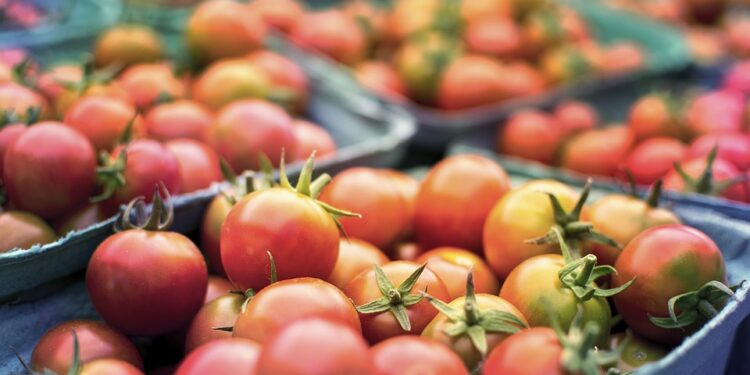 The Role of Social Media in Shaping Public Opinion